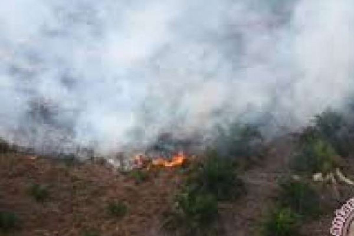 120 Hektare Lahan Sawit Pemda Siak Terbakar