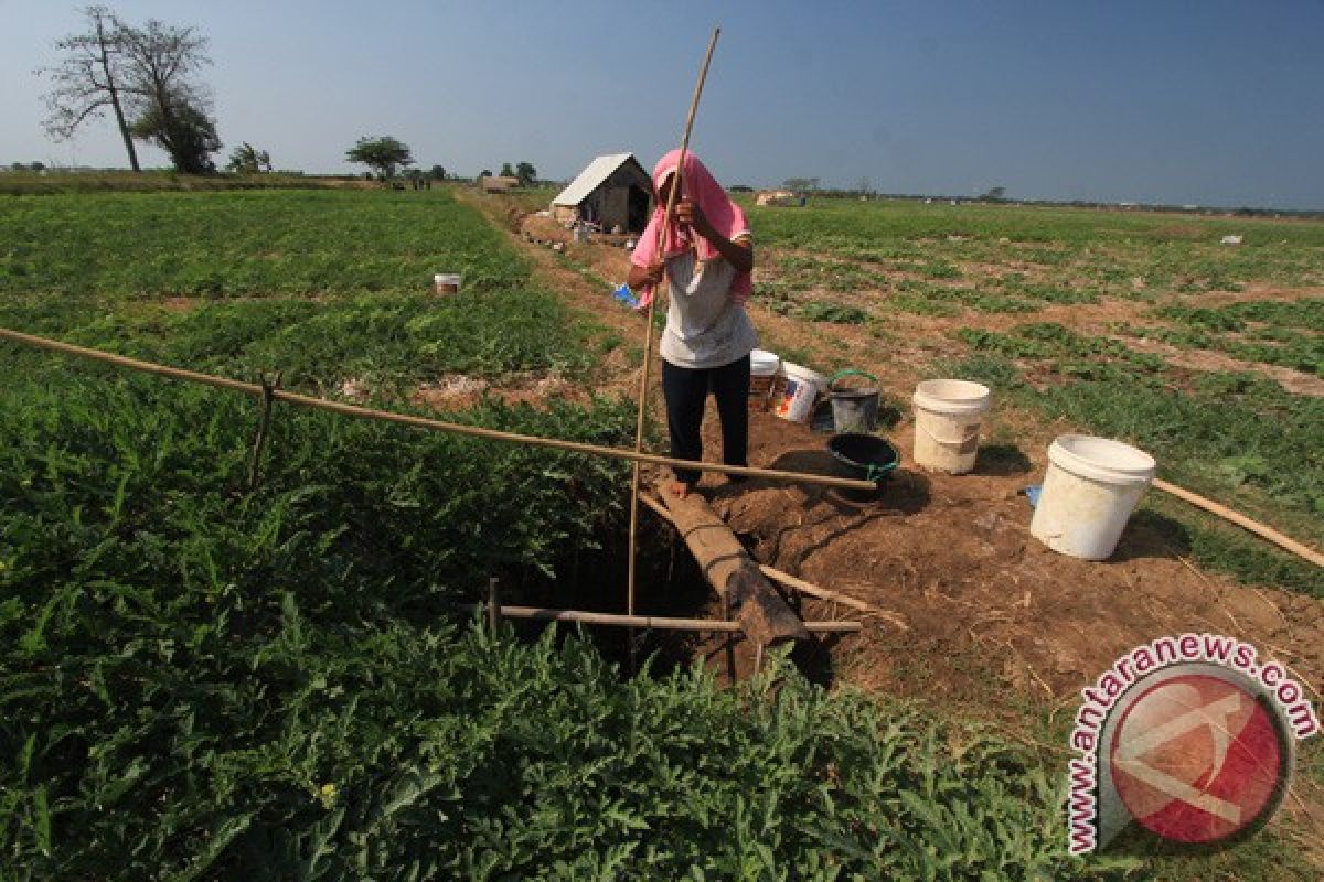 Petani Kulon Progo manfaatkan sumur bor atasi kekurangan air