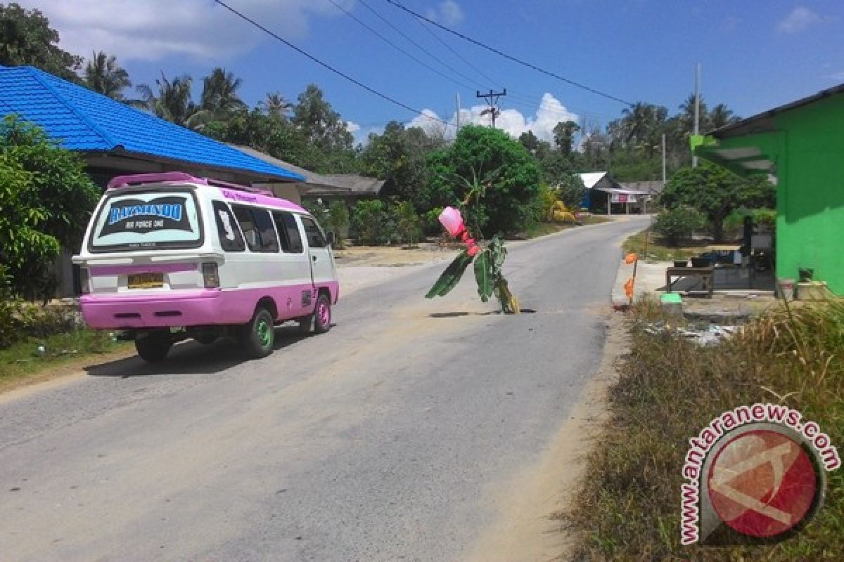 Warga Kundur Tanam Pohon di Jalan Rusak