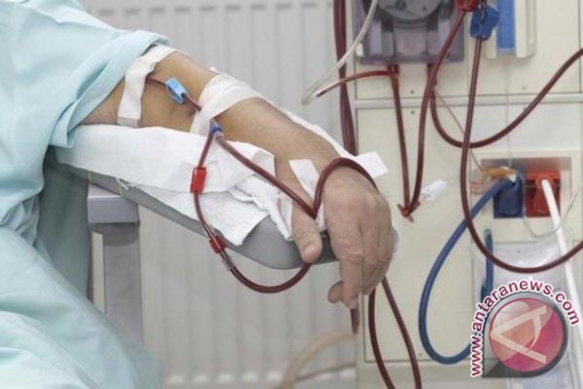 RSUD Murjani Diminta Sediakan Layanan Cuci Darah