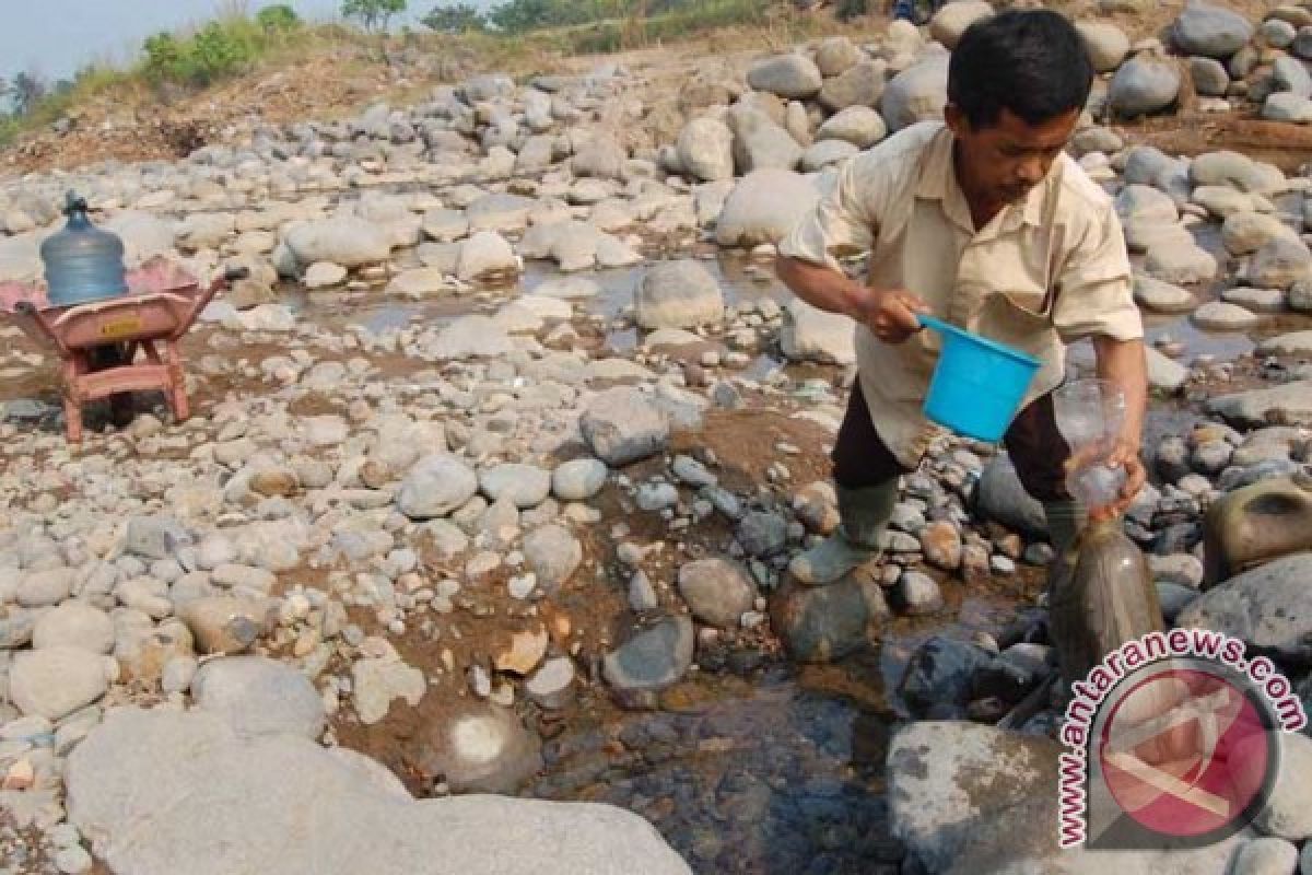 Warga Minum Cairan Pohon Akibat Kesulitan Air