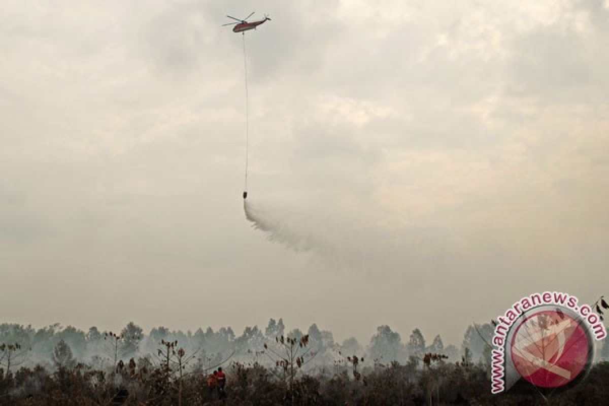 Tiga helikopter dikerahkan untuk padamkan kebakaran hutan Riau