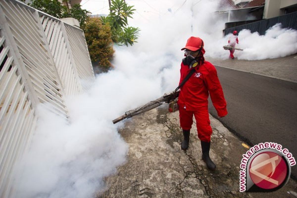 Tujuh warga Jambi meninggal dunia akibat DBD