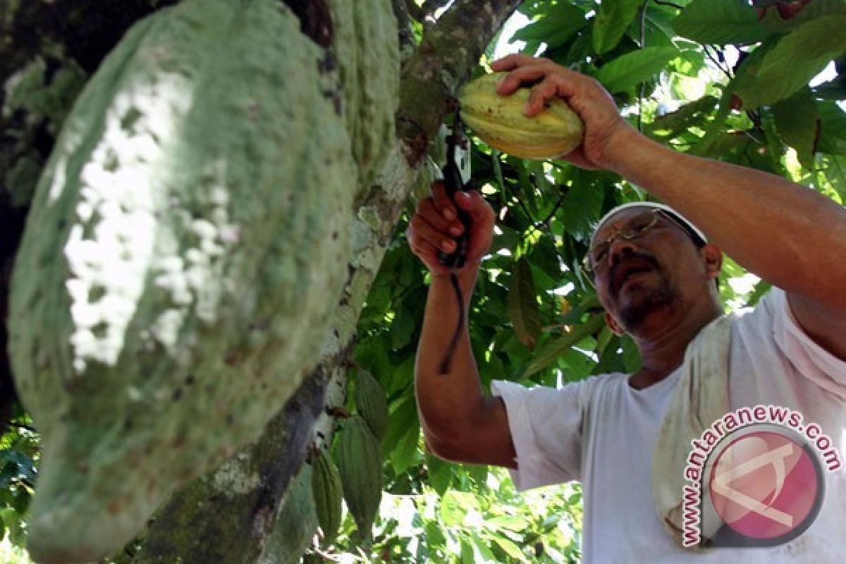  Produksi Komoditas Perkebunan Banten  101.352,82 Ton