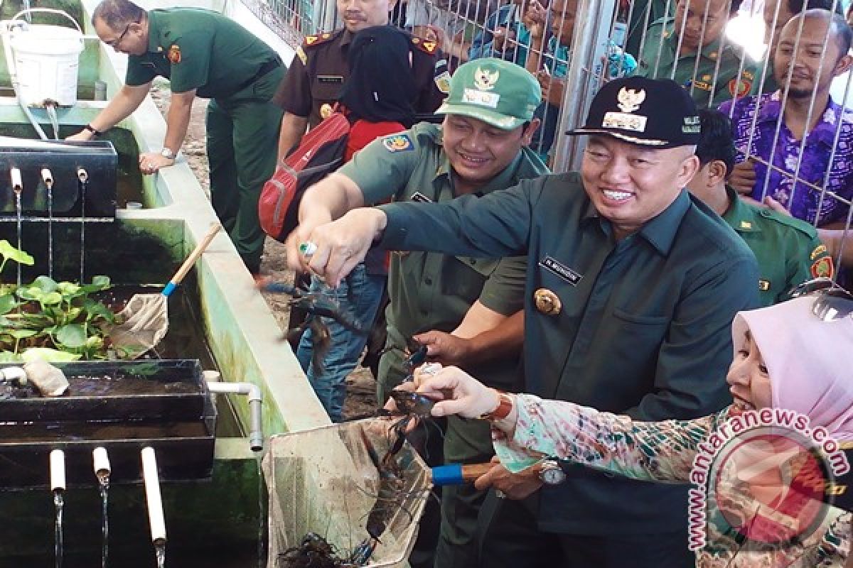 Banjarmasin Targets One Million Lobster Aquaculture