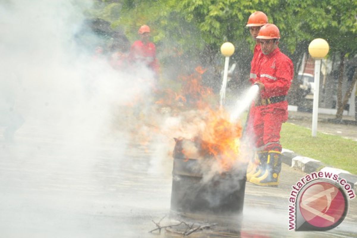 Simulasi kebakaran hutan