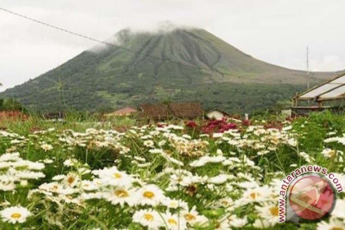 Preparations ripe for Tomohon Flower Festival