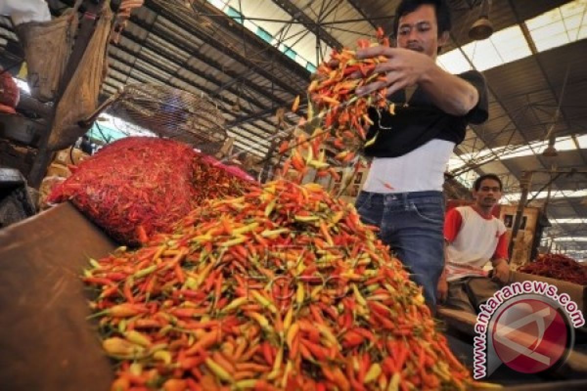 Darmin: Permudah Distribusi Tekan Harga Cabai Rawit