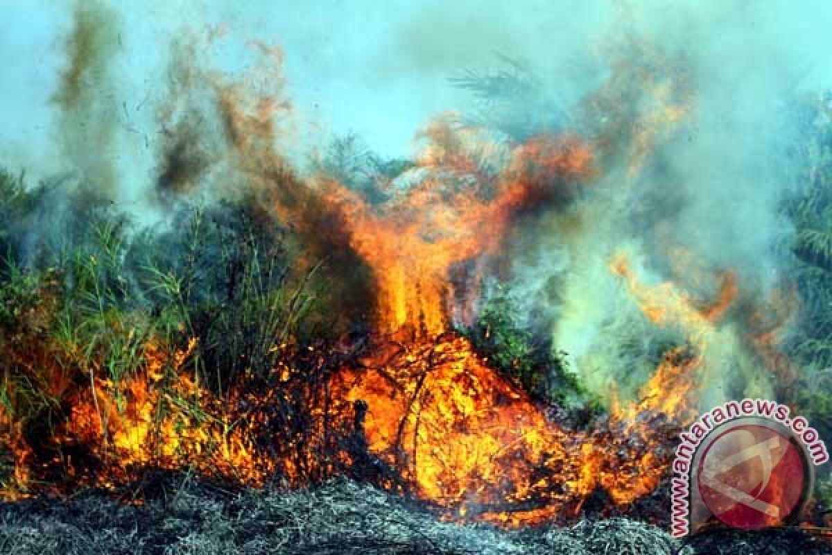 Gubernur minta bupati maksimalkan pemadaman titik api 