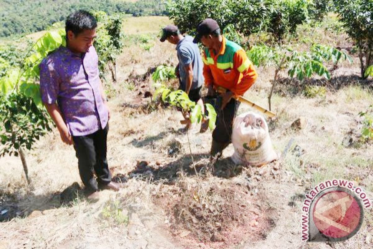 BLH Tala Canangkan Penanaman 5.000 Pohon 