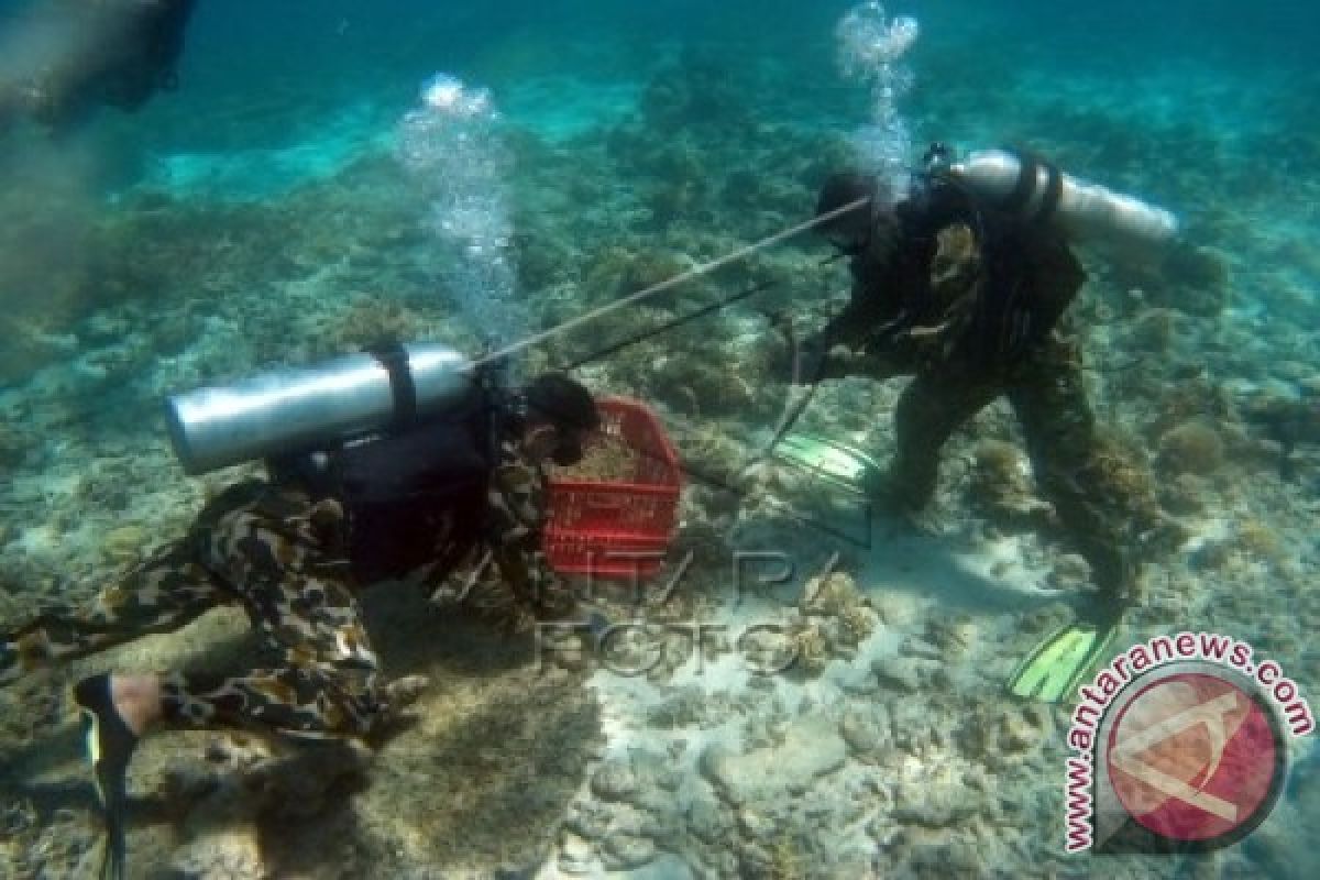 Sekitar 70 Persen Terumbu Karang di Indonesia Rusak