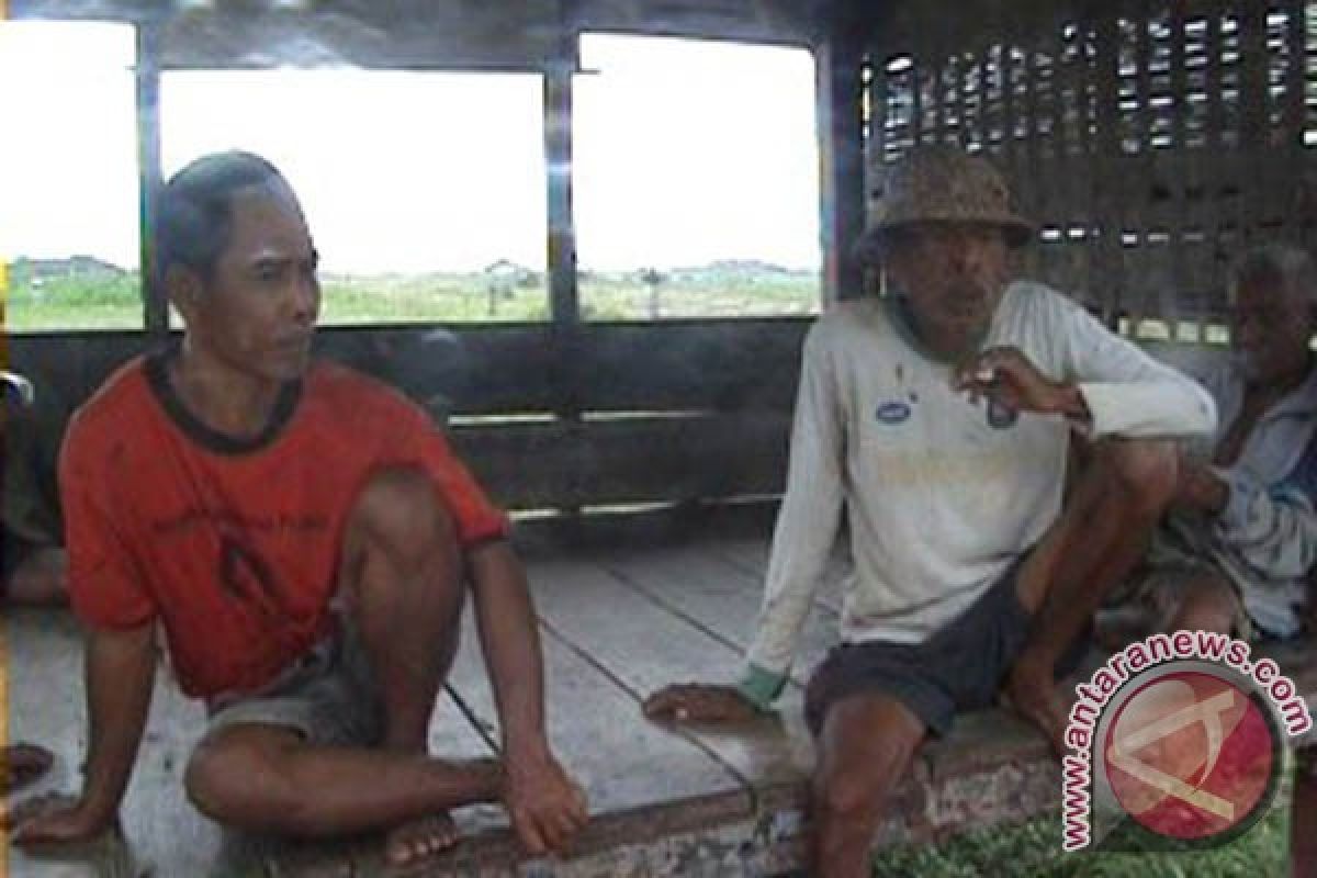 Gagal Panen Petani Kebingungan Cari Pekerjaan