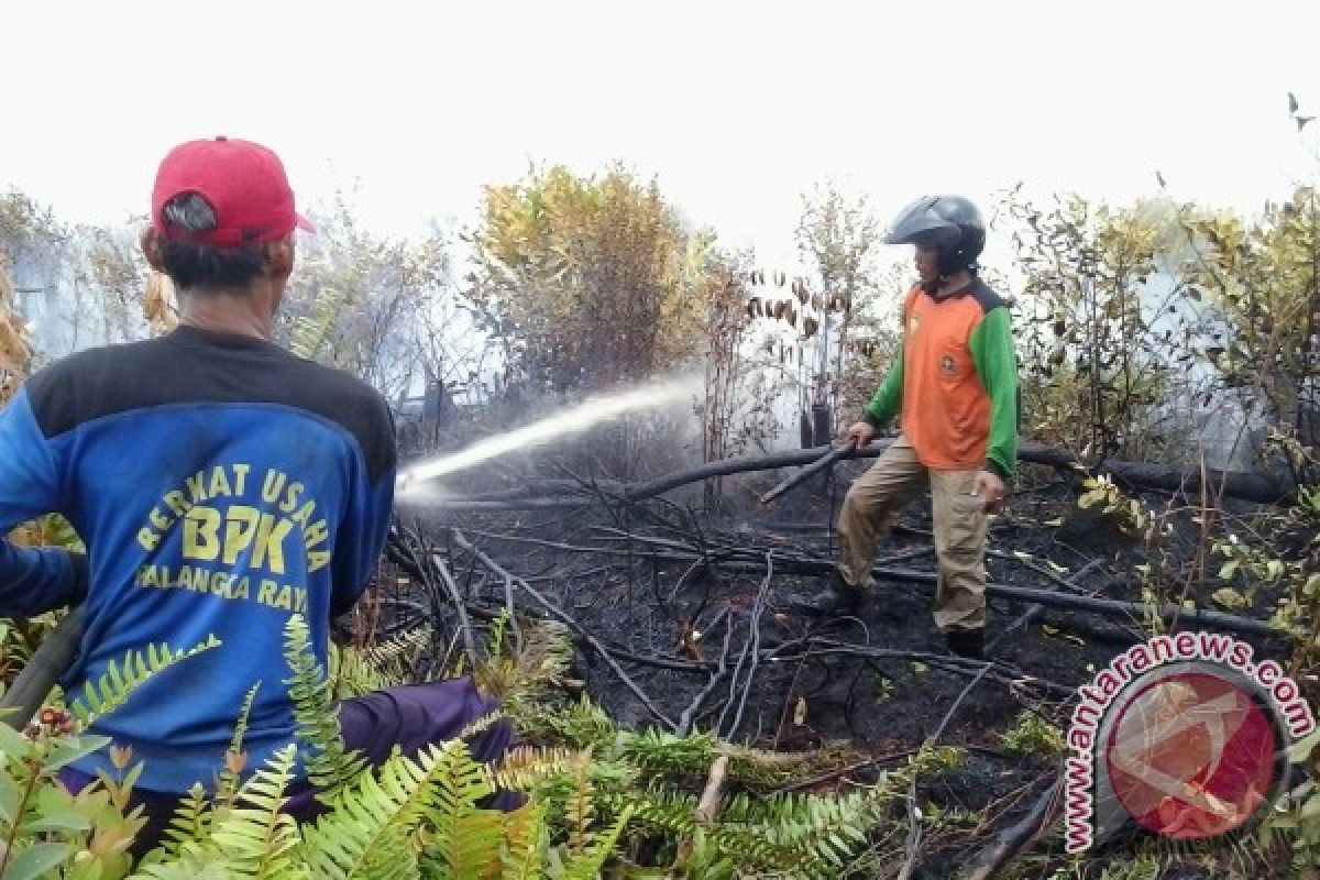 Puluhan Hektare Kebun Warga Ludes Dilalap Api