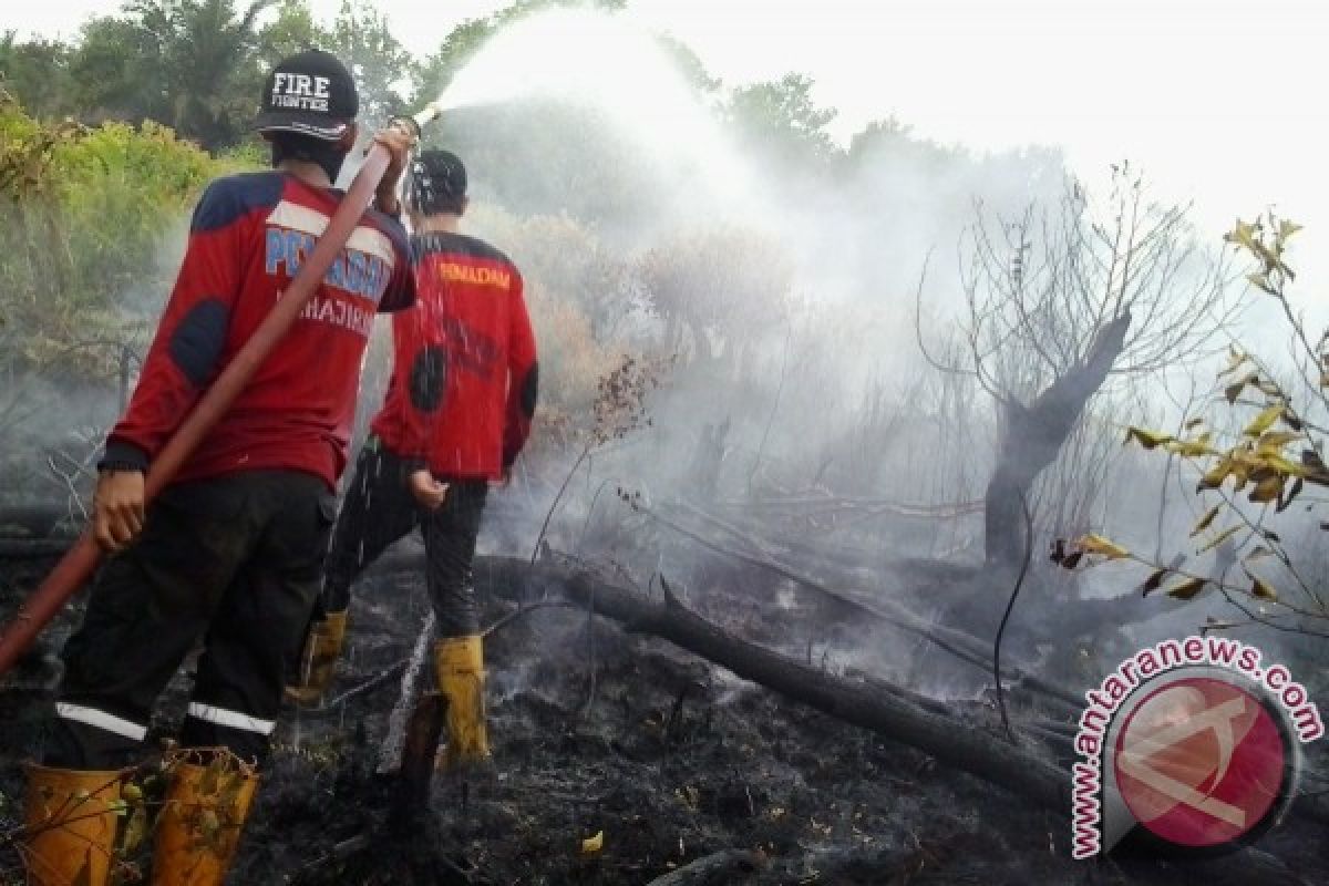 705 Hektare Lahan Terbakar Di Kalteng 