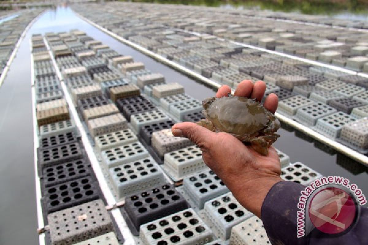 Rumah Kawin Kepiting juara Teknologi Tepat Guna