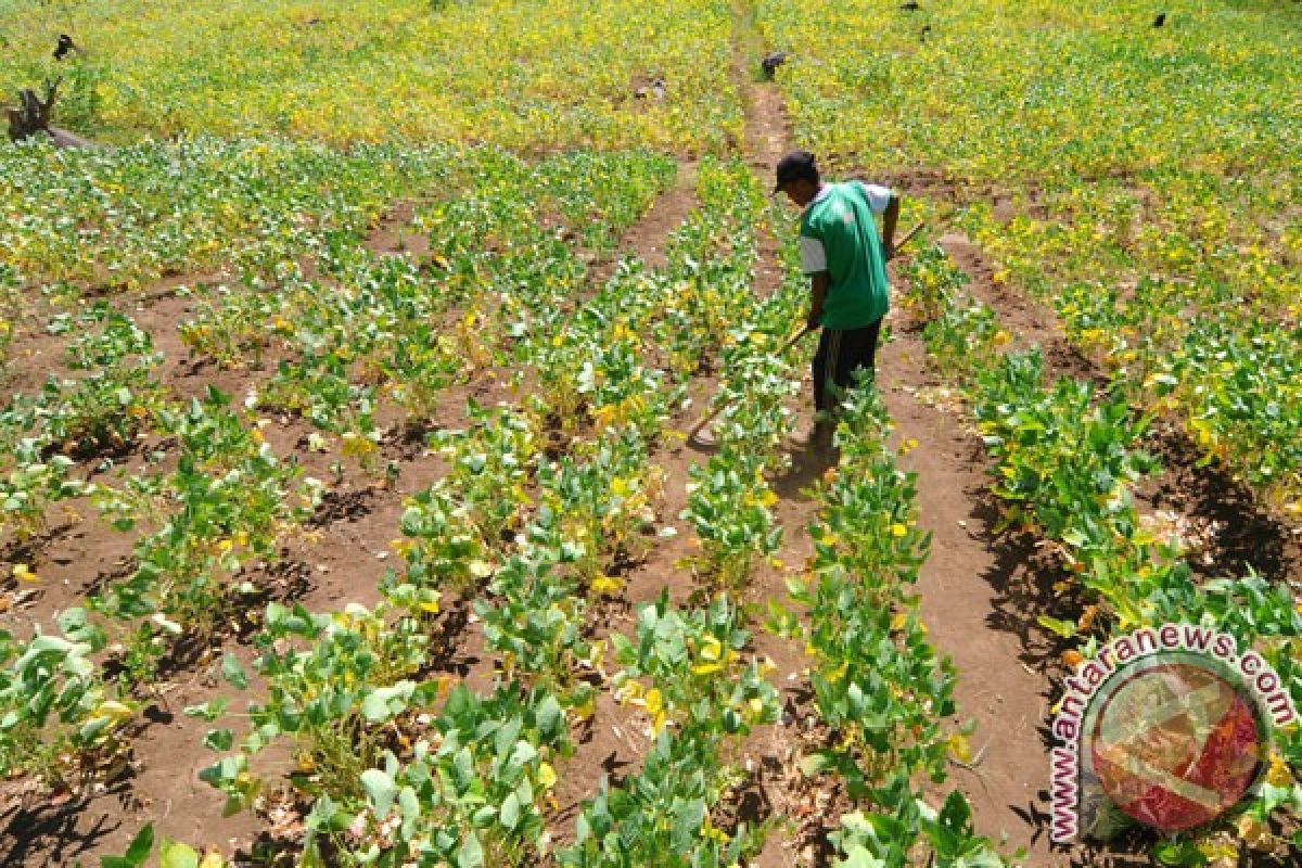 Sebagian Sulawesi Utara memasuki musim kemarau, hati-hati kebakaran lahan