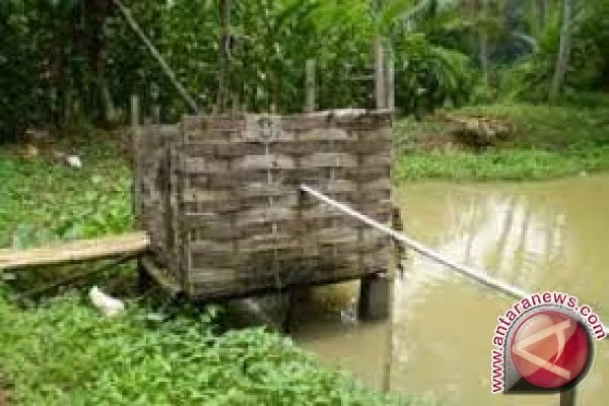 Rp6,5 billion for Kotabaru's Sanitation and Slum
