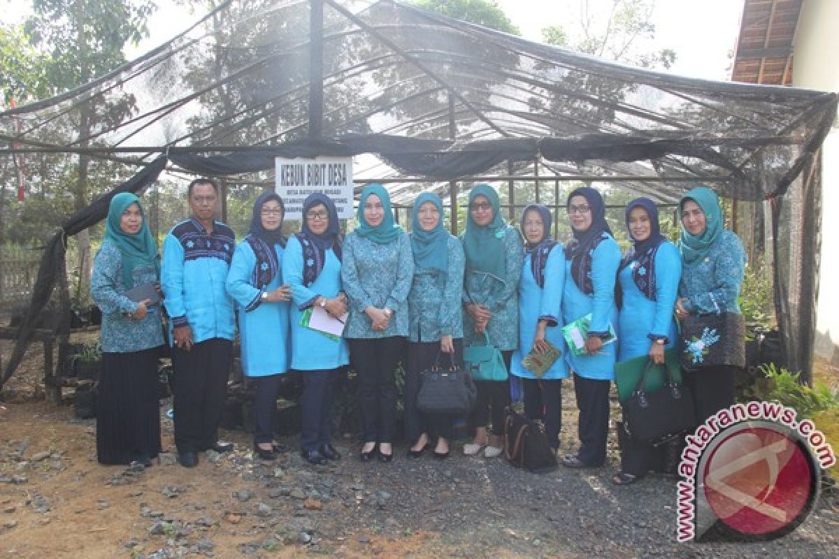 Masyarakat Tanah Bumbu Manfaatkan Lahan Kosong Pekarangan