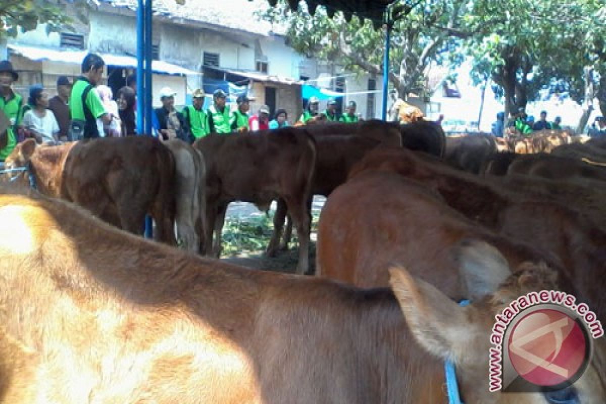 Tingkat Konsumsi Daging di Kabupaten Madiun Rendah