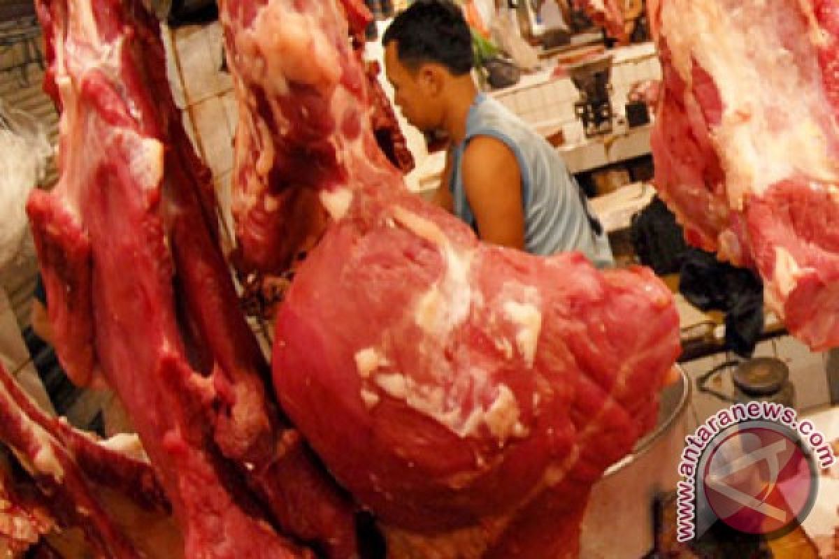 Harga daging sapi di Bandarlampung bertahan tinggi