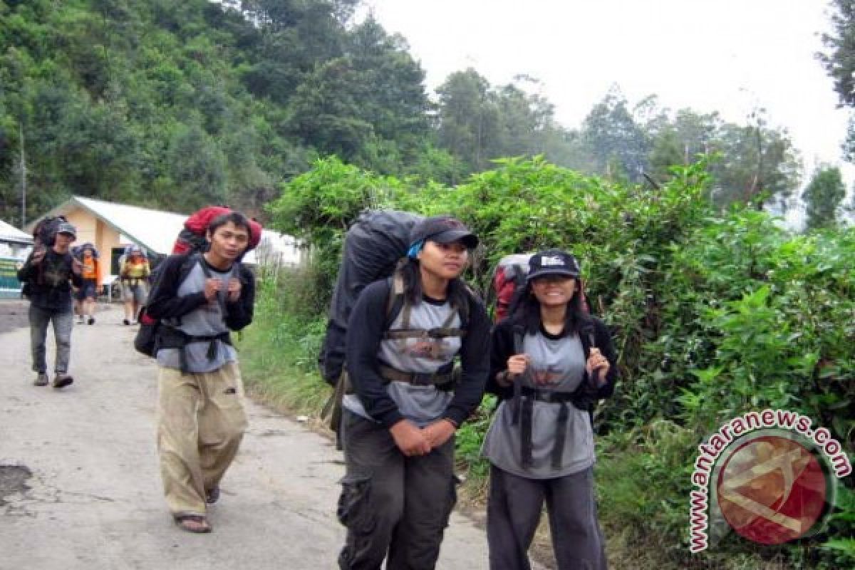 TNBTS Evakuasi Pendaki Semeru Ke Ranupani Lumajang