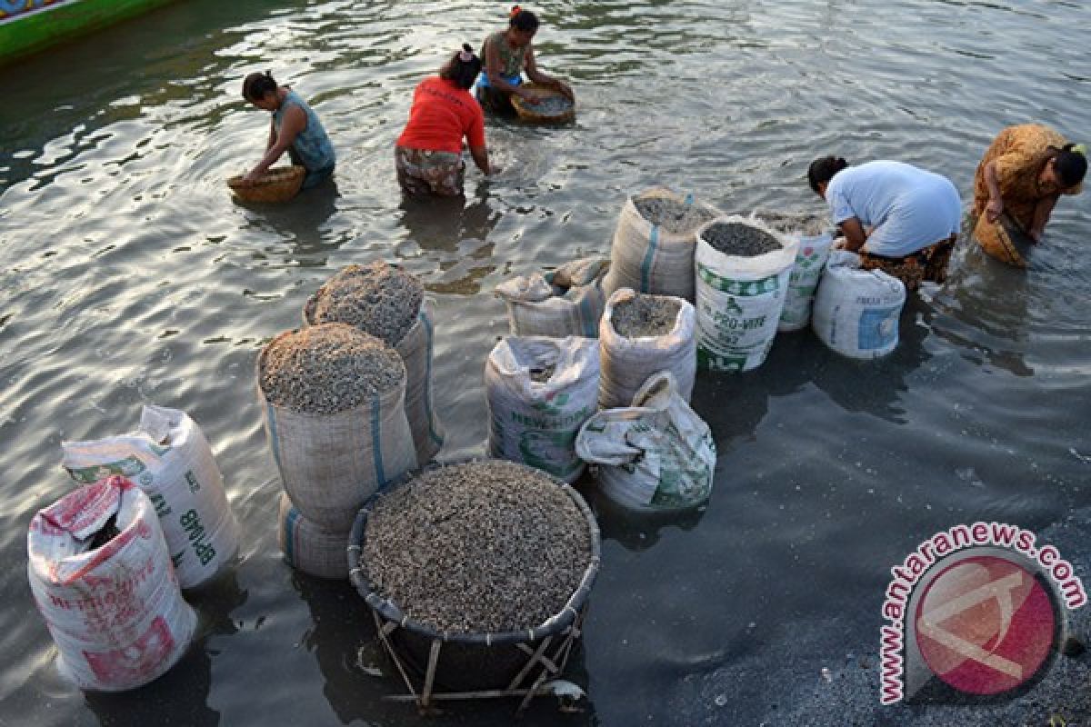 Kiara: Negara harus lebih akui peran perempuan nelayan.