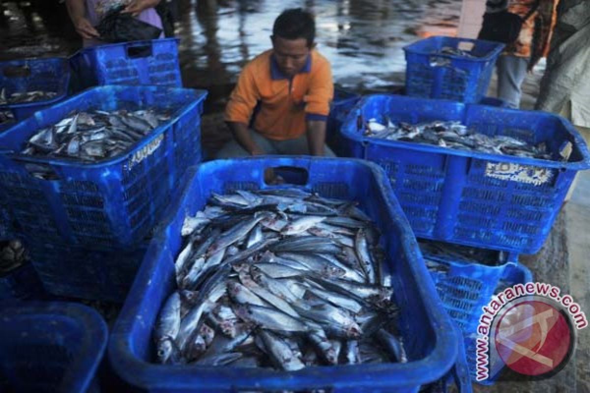 Bantul bebaskan pungutan nelayan di TPI