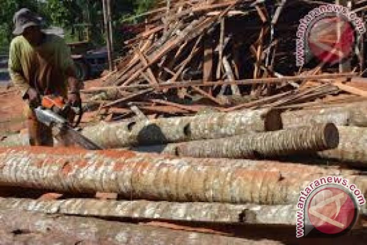 Kayu Kelapa Jadi Alternatif Mebel Setelah Ebony 