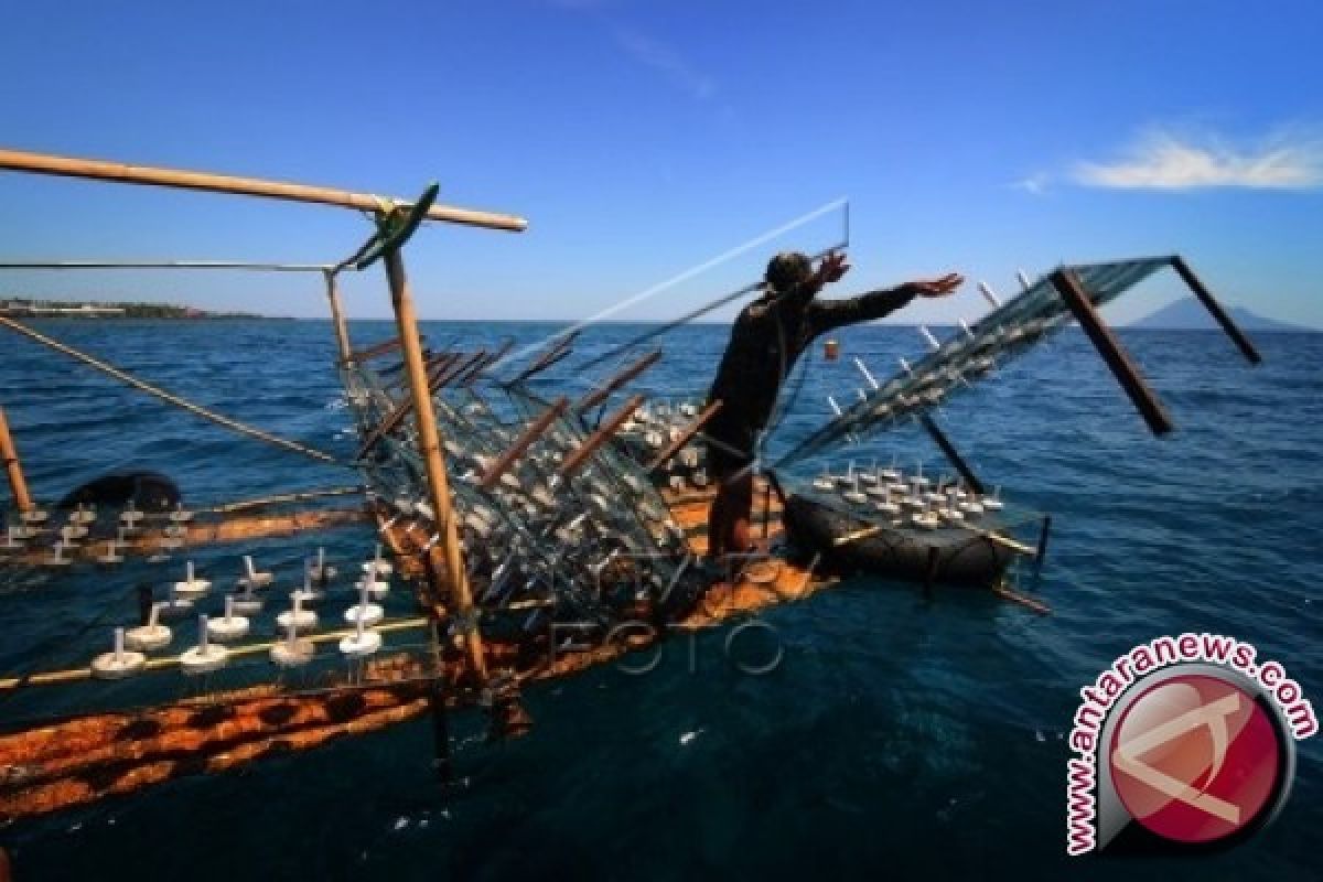 Pemprov Sulut: SOLL Jaga Ekosistem Laut 