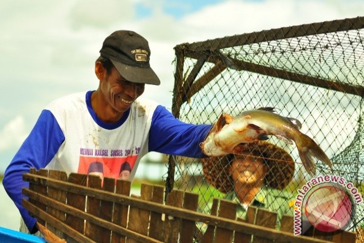 Diskan turunkan target produksi ikan budi daya