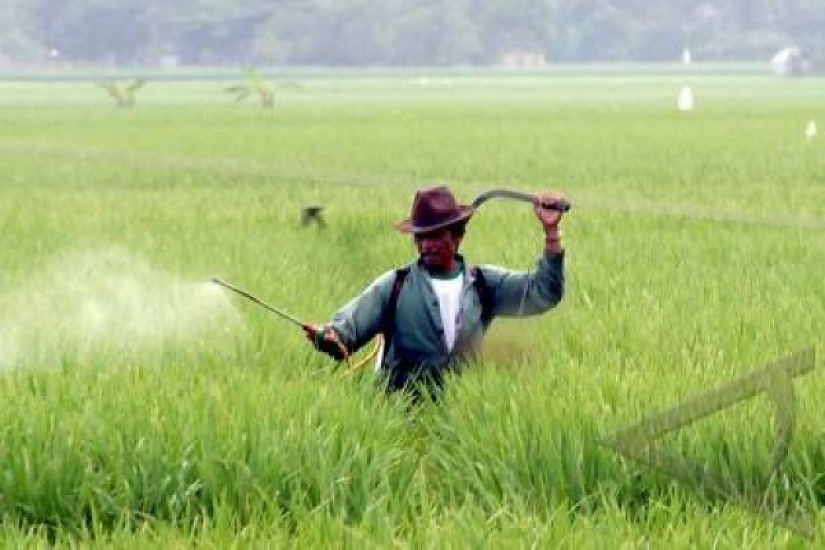 BKPP Banten Jamin Stok Pangan Aman