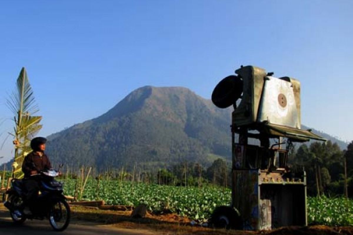 Kampanye "Go Green" Lintasi Festival Lima Gunung