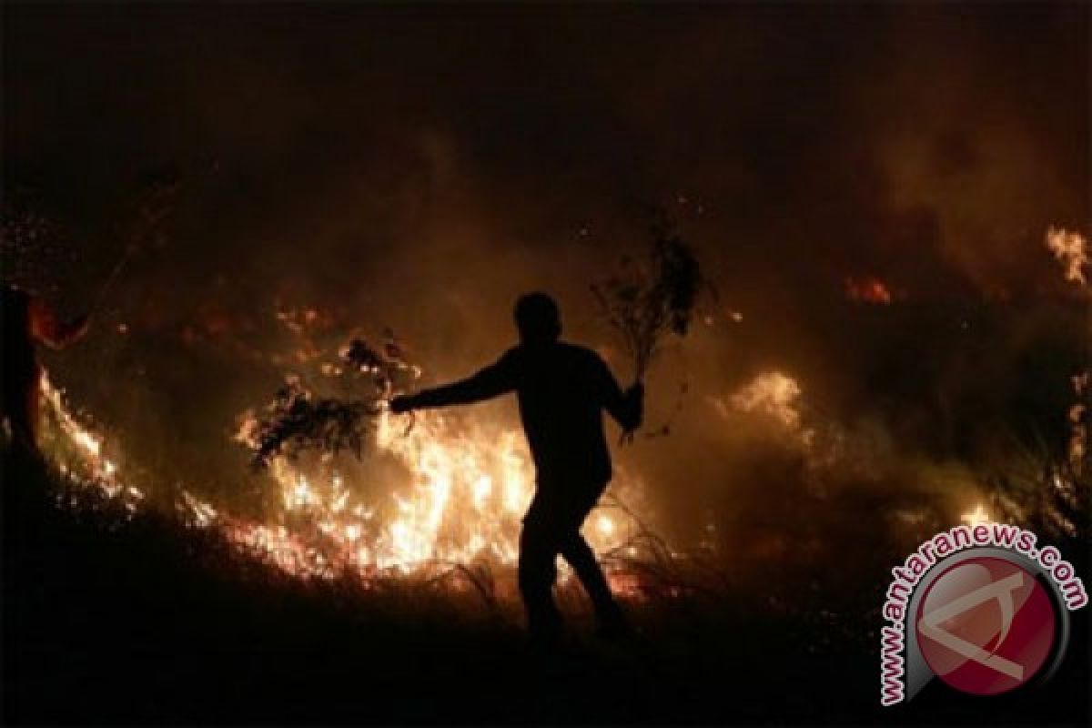 Kebakaran Lapangan Golf Arcamanik sulit dipadamkan