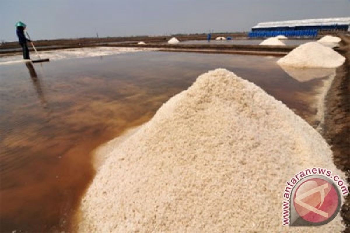 Pemerintah tak lagi rekomendasikan impor garam