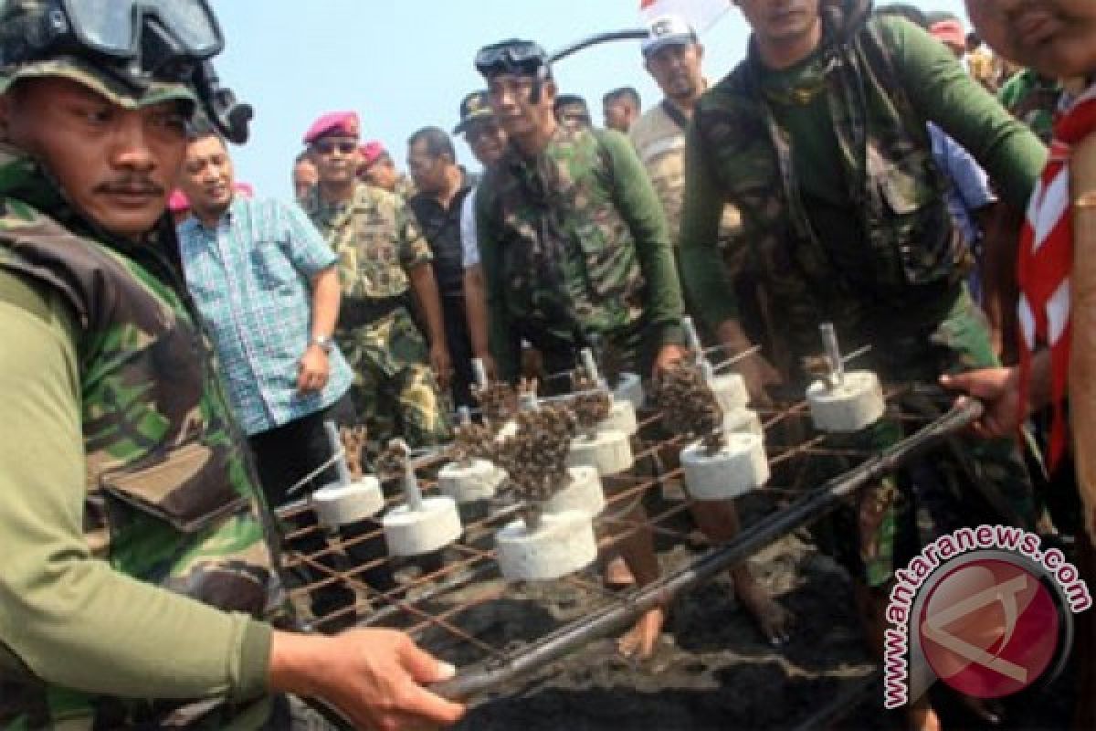 TNI AL Kupang lakukan transpalasi terumbu karang