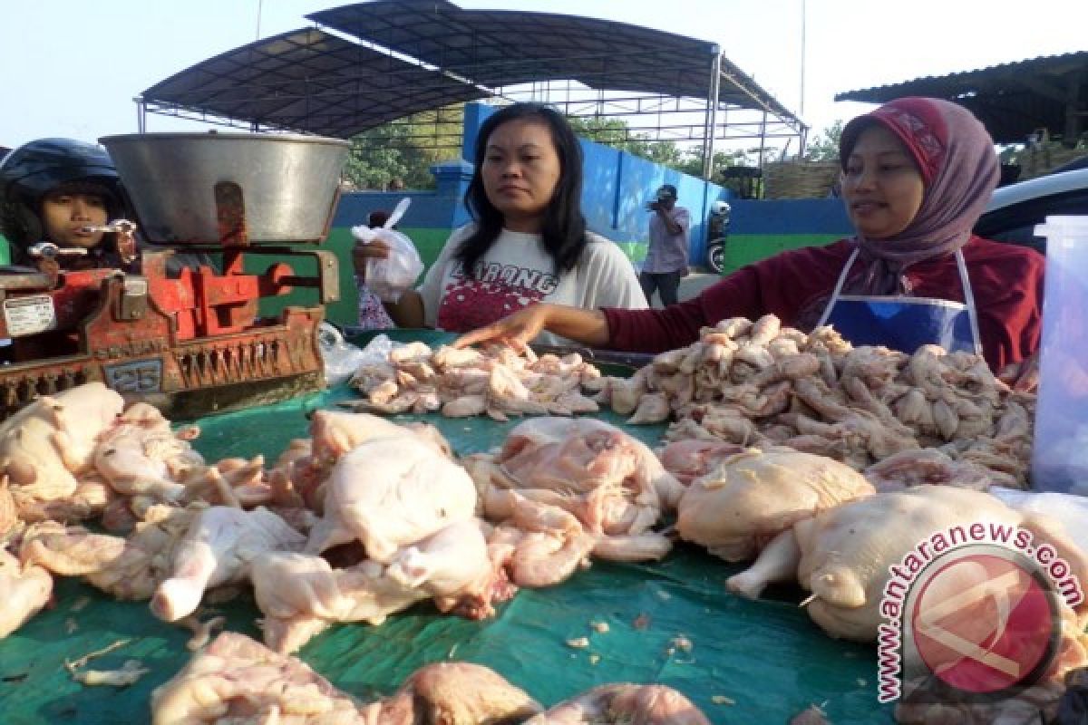 Pedagang Daging Ayam di Madiun Merugi