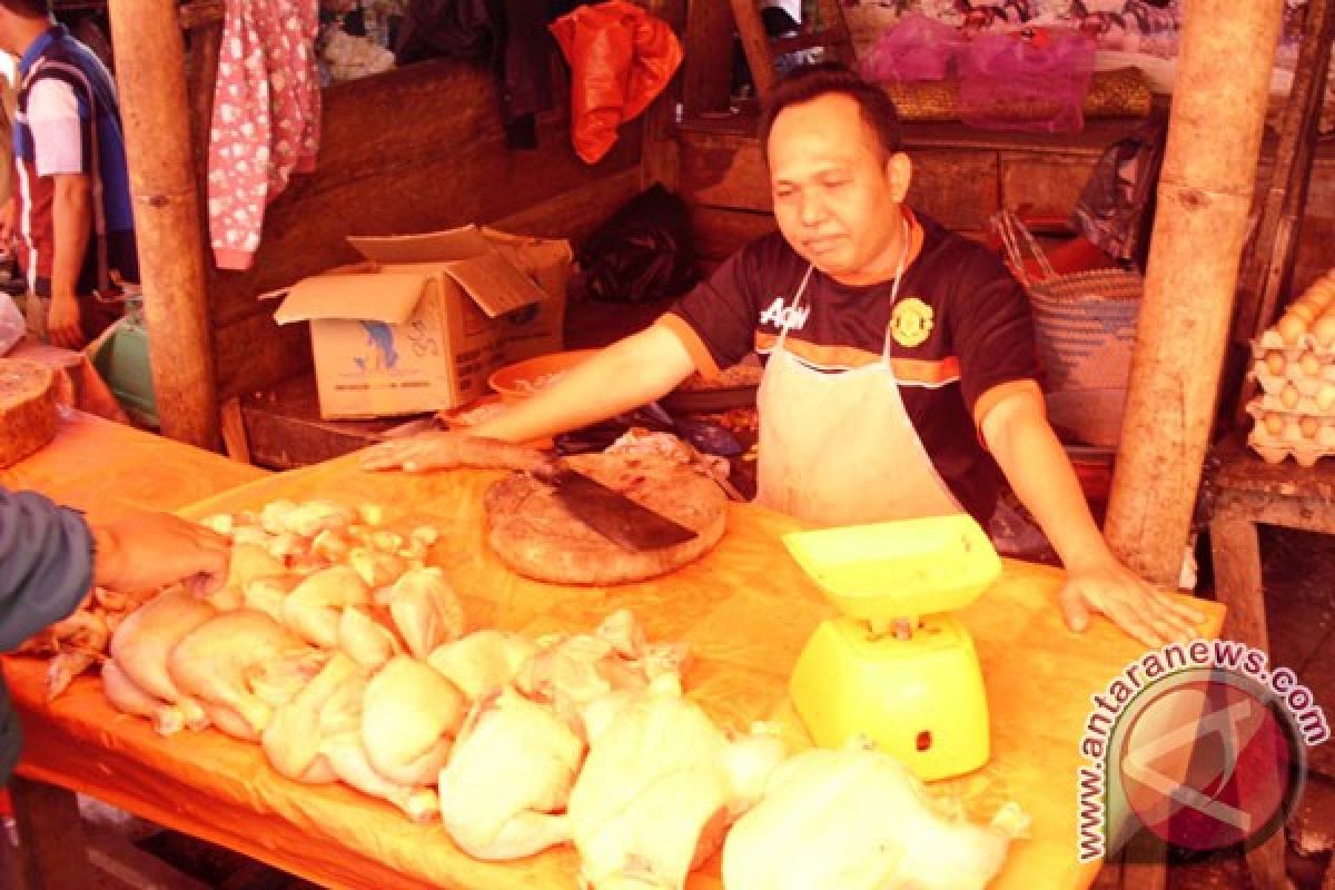 Harga daging ayam potong mencapai Rp40.000