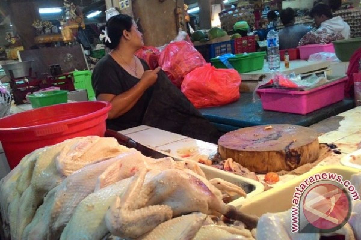 Harga Daging Ayam di Denpasar Alami Lonjakan