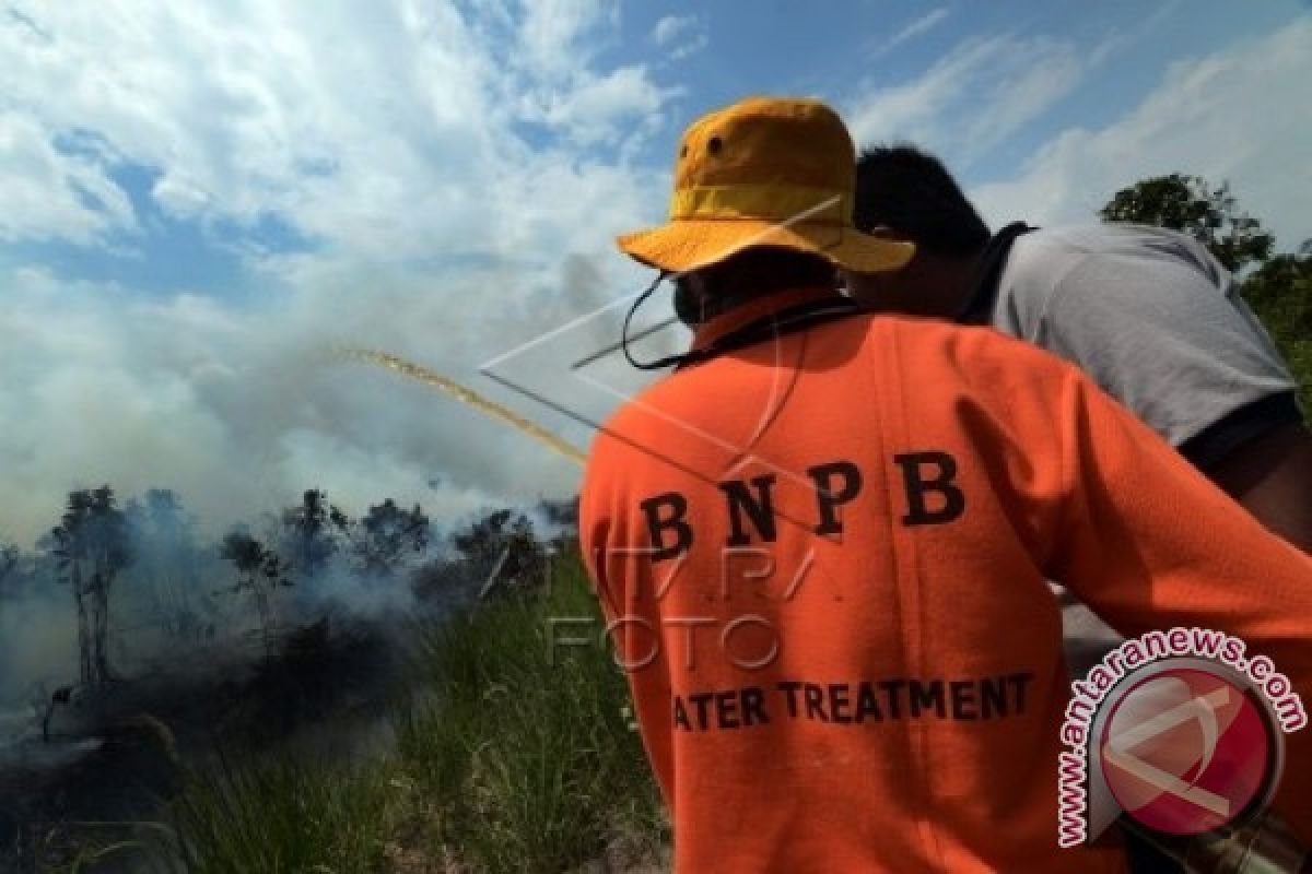 BPBD : Petugas kewalahan padamkan kebakaran hutan