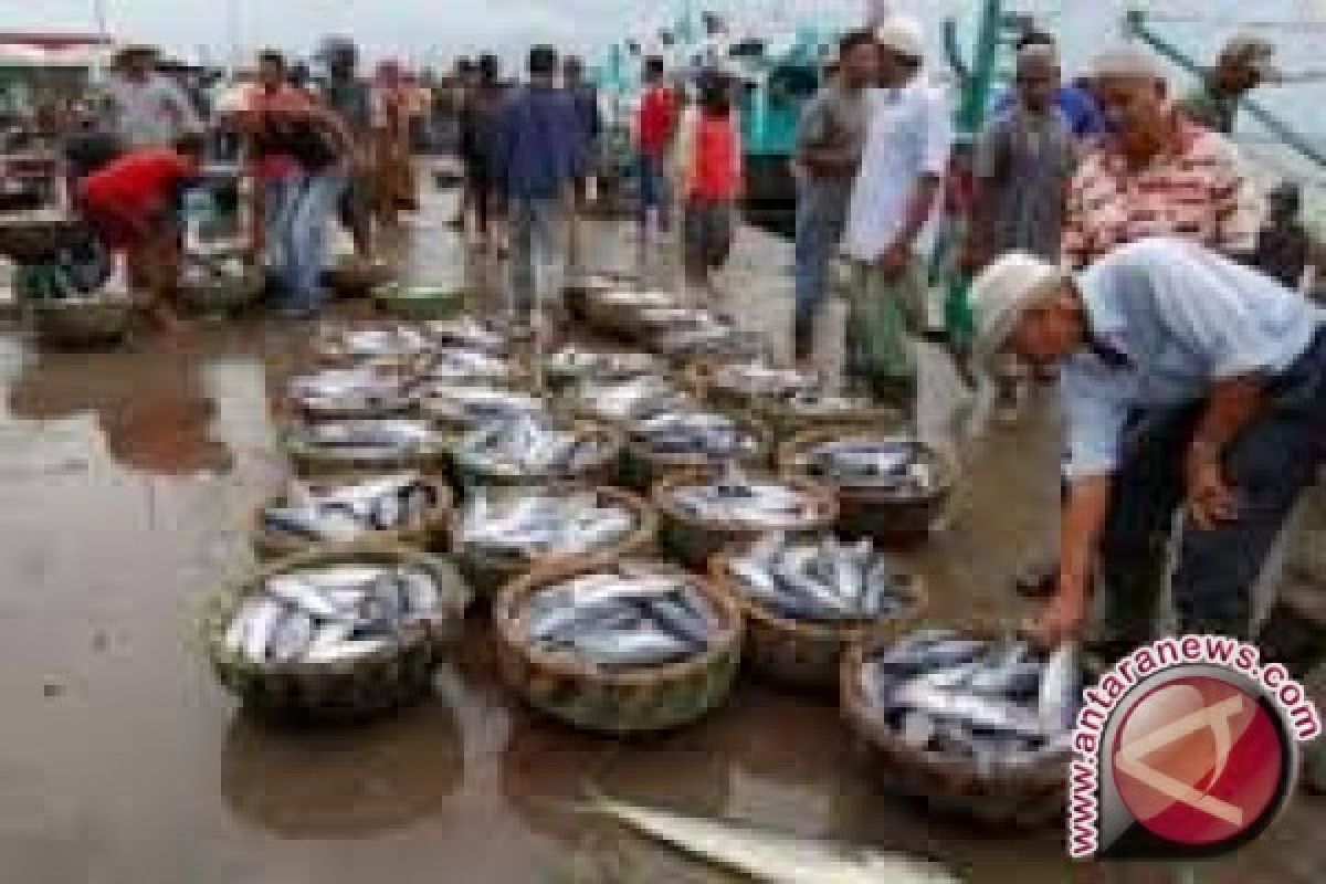 Devisa ikan Sumut 201,628 Juta dolar AS