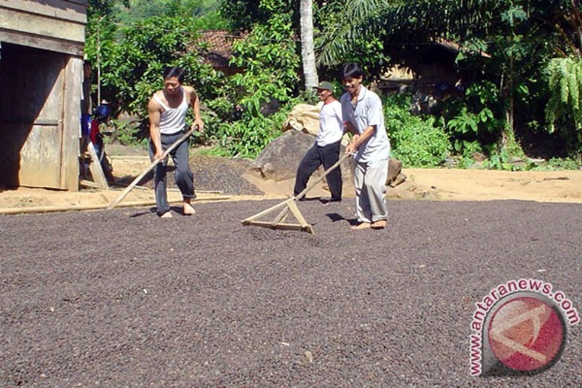 Lampung Surplus Neraca Perdagangan