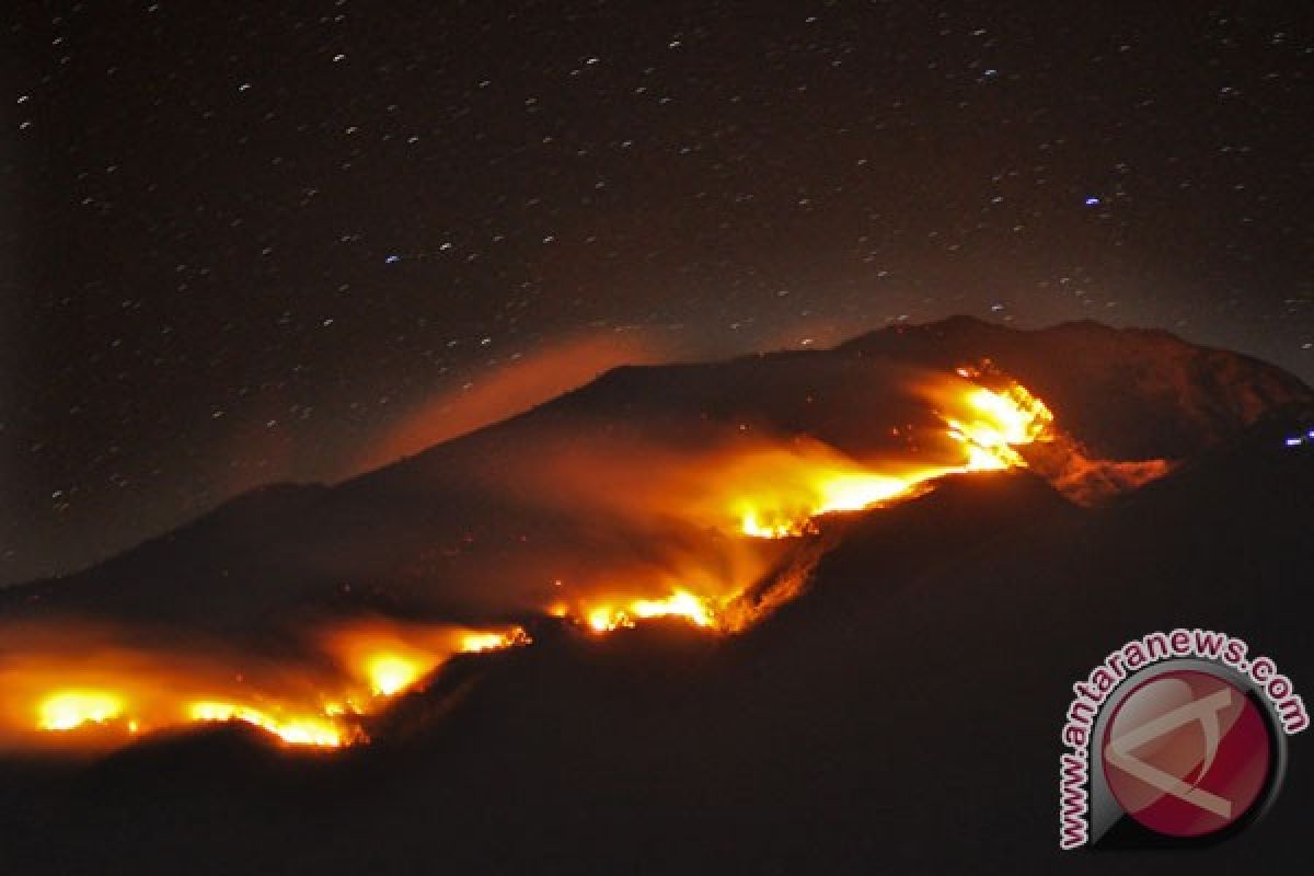 185 personel padamkan api Gunung Merbabu