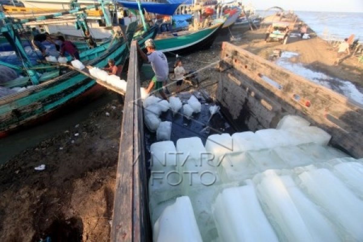 Izin Berlayar Keluar, 40 Persen Kapal Nelayan Pekalongan Melaut