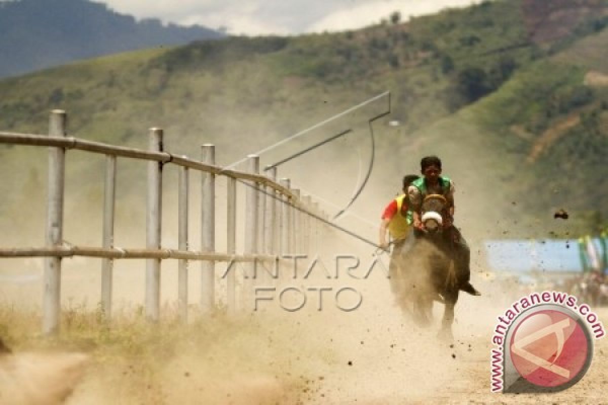 Pemerintah Aceh Diminta Lanjutkan Arena Pacuan Kuda