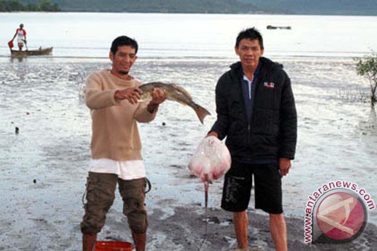 Bahaya, Ikan pari menyengat perenang Asutralia hingga meninggal