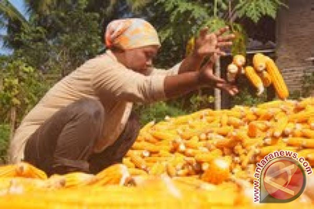 Kepala daerah diminta amankan stok kebutuhan pokok