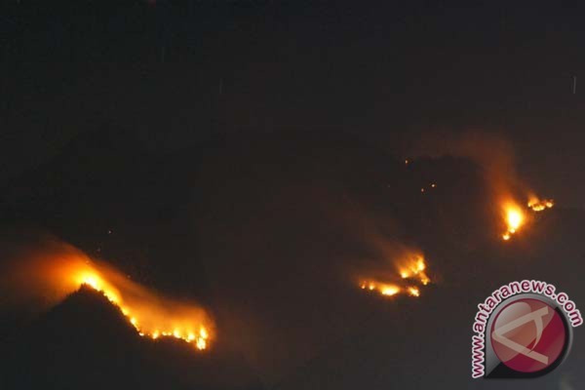 Hutan Lereng Merapi Kembali Terbakar