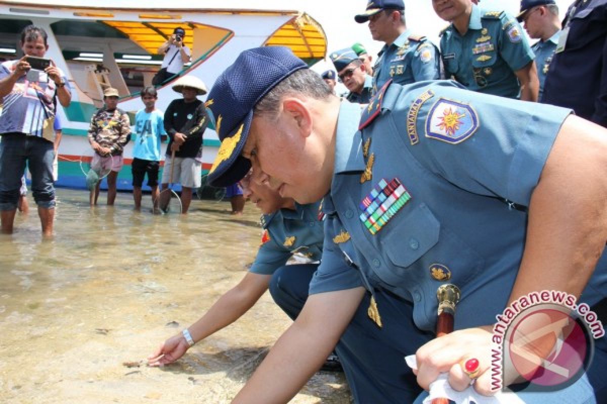 Pelepasan anak penyu warnai SOSS 2015 