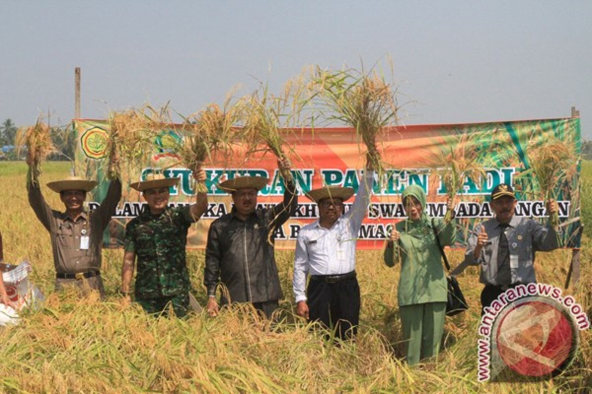 Panen Raya Padi Menuju Swasembada Pangan