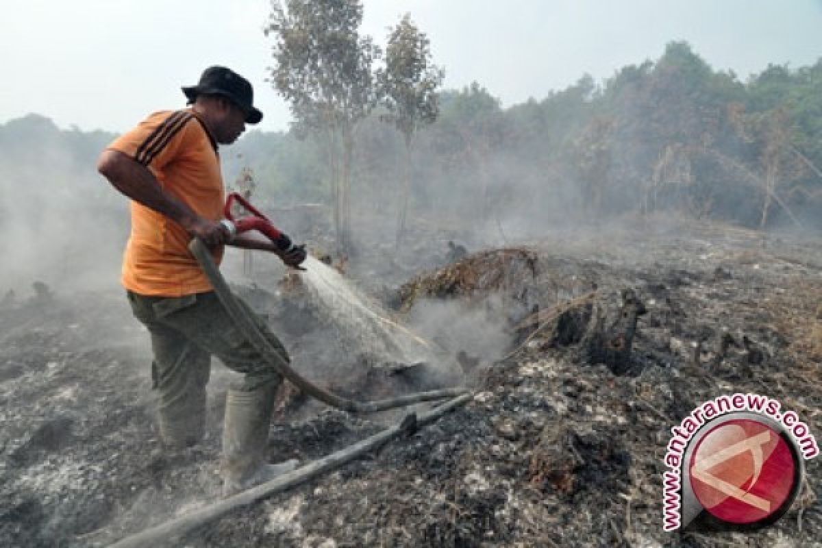 Puluhan hektare lahan warga Batanghari terbakar